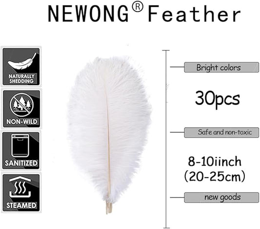 NEWONG 30pcs Mint Green Ostrich Feathers Natural Bulk 8-10in(20-25cm) Vase Craft Wedding Home Party Centerpieces Christmas Day Decoration…
