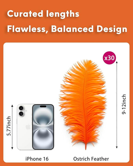 NEWONG 30pcs Orange Ostrich Feathers Natural Bulk 9-12in(23-30cm) Vase Craft Wedding Home Party Centerpieces Christmas Day Decoration
