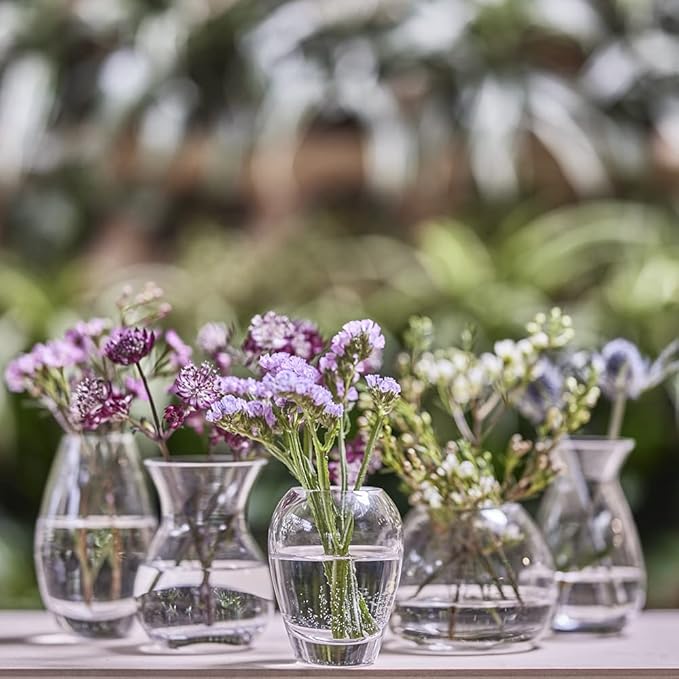 CHIVE ‘George’ Glass Bottle Flower Vases — Set of 6 — Small, Elegant Clear Glass Bud Vases — Bulk Pack for Home Decor & Table Centerpieces — Shape 2 (Oval, 5" Tall, 2.5" Wide)