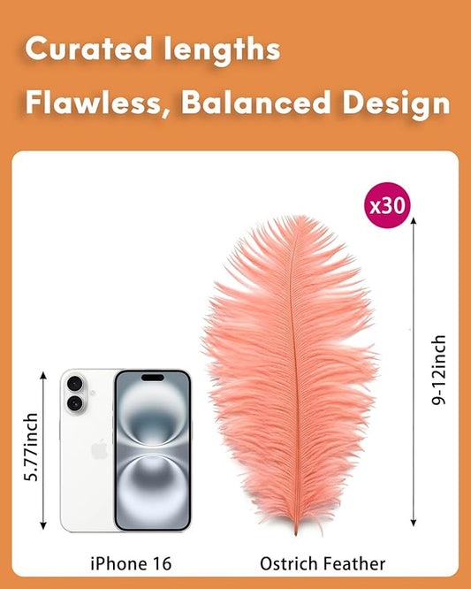 NEWONG 30pcs Rouge Pink Ostrich Feathers Natural Bulk 9-12in(23-30cm) Vase Craft Wedding Home Party Centerpieces Christmas Day Decoration