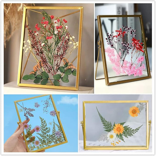 Vignee Real Dried Pressed Leaf Flowers-Multiple Colorful Pressed Flowers Daisies for Craft Resin Jewelry Making Art Craft DIY(Violet&Light Pink)