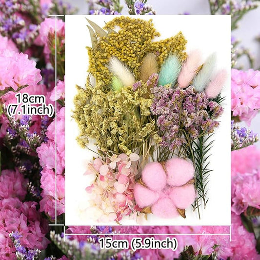 Vignee Real Dried Pressed Leaf Flowers-Multiple Colorful Pressed Flowers Daisies for Craft Resin Jewelry Making Art Craft DIY and Soap Candle Scrapbooking DIY Resin(Pink)