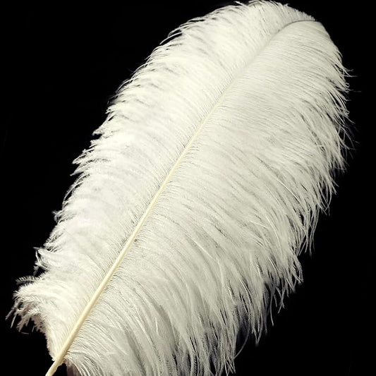 Beige Large Ostrich Feathers Bulk- 16-18 inches 10pcs for Wedding Party Centerpieces,Flower Arrangement and Home Decorations (Beige)