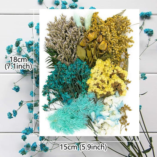 Vignee Real Dried Pressed Leaf Flowers-Multiple Colorful Pressed Flowers Daisies for Craft Resin Jewelry Making Art Craft DIY(Blue)