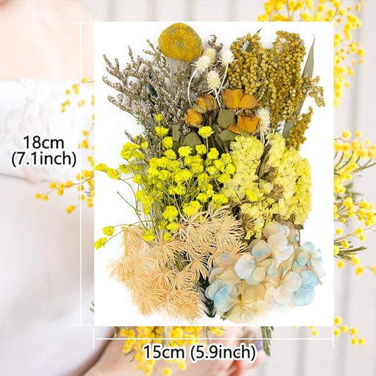 Vignee Real Dried Pressed Leaf Flowers-Multiple Colorful Pressed Flowers Daisies for Craft Resin Jewelry Making Art Craft DIY and Soap Candle Scrapbooking DIY Resin(Yellow)
