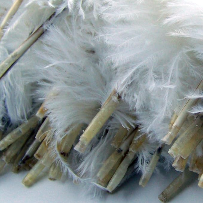 KOLIGHT 40pcs 12''~14''(30~35cm) Natural Ostrich Feathers for DIY Home Wedding Party Office Decoration (White)