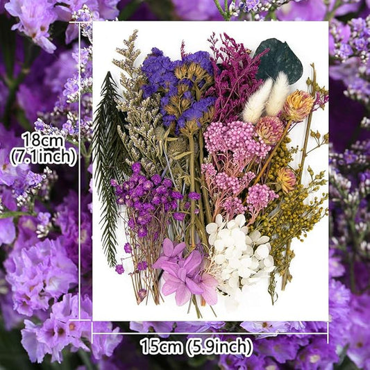 Vignee Real Dried Pressed Leaf Flowers-Multiple Colorful Pressed Flowers Daisies for Craft Resin Jewelry Making Art Craft DIY(Blue & Purple)