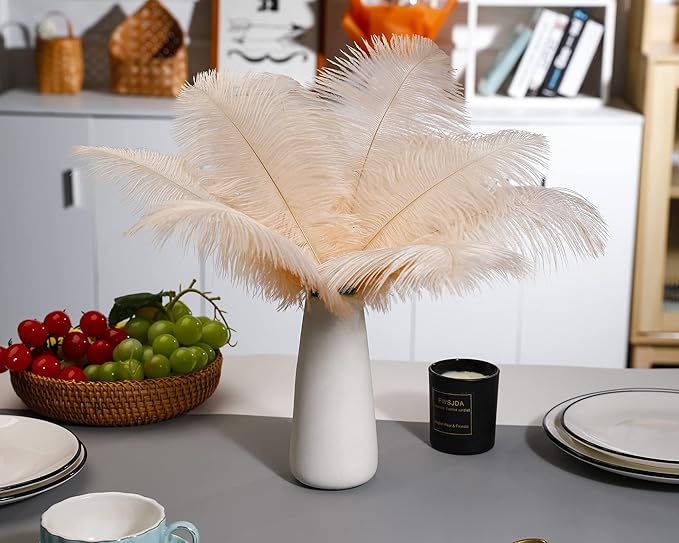 Ballinger Light Salmon Ostrich Feathers - 24pcs 12-14inch Big Feathers for Crafts,Wedding Party Centerpieces and Home Decor