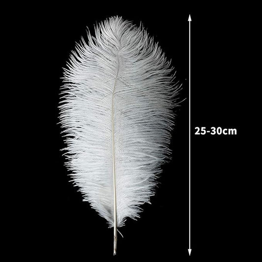 24pcs Natural White Ostrich Feathers 10-12inch (25-30cm) for Wedding Party Centerpieces,Flower Arrangement and Home Decoration.