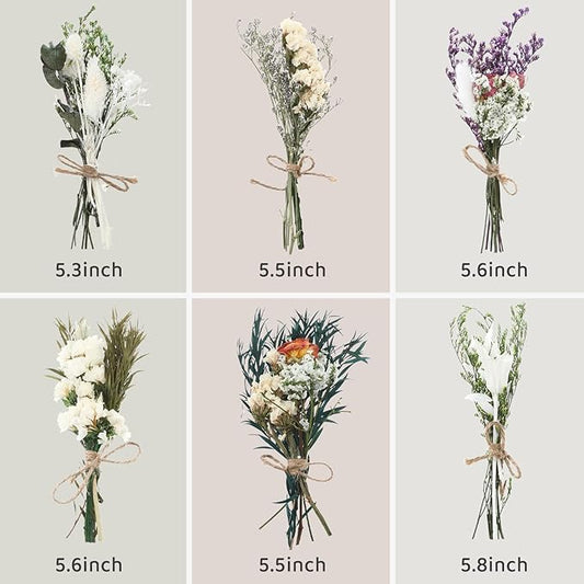 12/24 Pack Dried Flowers for Vase Various Mini Bouquet Dried Small Wildflowers Natural Real Flowers Bulk for Crafts DIY Wedding Decor (12, White)