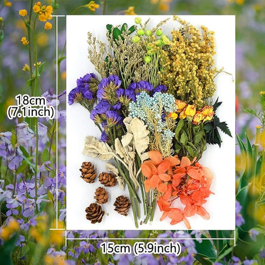 Vignee Real Dried Pressed Leaf Flowers-Multiple Colorful Pressed Flowers Daisies for Craft Resin Jewelry Making Art Craft DIY(Violet+Green)