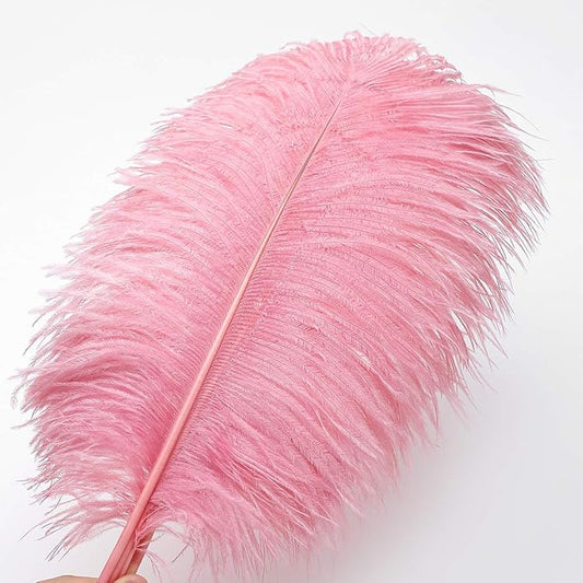 12pcs Natural Lotus Pink Ostrich Feathers 12-14inch (30-35cm) for Wedding Party Centerpieces,Flower Arrangement and Home Decoration.