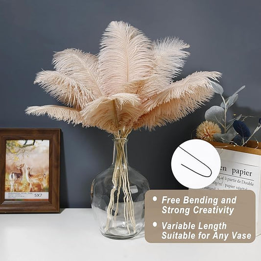 Holmgren Champagne Large Ostrich Feathers - 20pcs Making Kit 22 Inch Boho Feather Decor for Vase, Floral Arrangement, Wedding Party Centerpieces Home Decorations(Champagne)