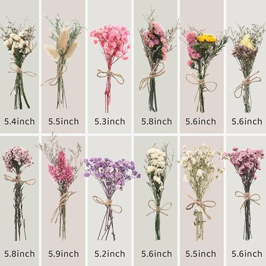 12/24 Pack Dried Flowers for Vase Various Mini Bouquet Dried Small Wildflowers Natural Real Flowers Bulk for Crafts DIY Wedding Decor (24, Multicolor)