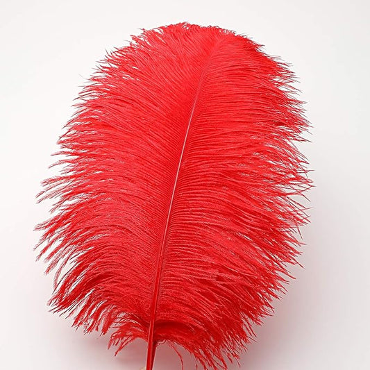 24pcs Natural Bright Red Ostrich Feathers 10-12inch (25-30cm) for Wedding Party Centerpieces,Flower Arrangement and Home Decoration.