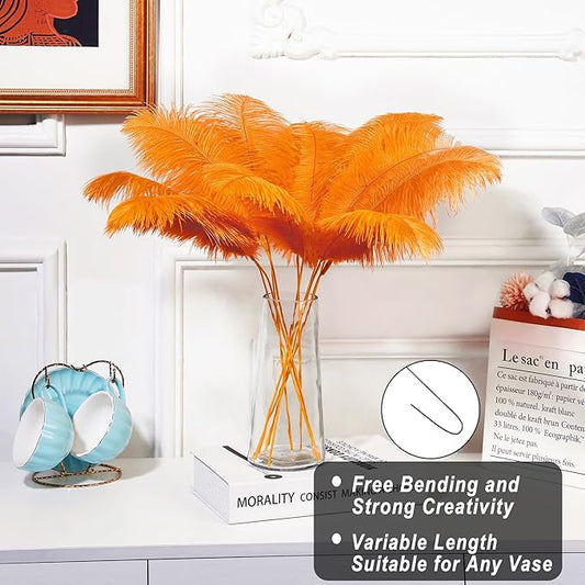 Holmgren Orange Ostrich Feathers Bulk - 20pcs Making Kit 22 Inch Ostrich Feathers for Vase, Floral Arrangement, Wedding Party Centerpieces and Halloween Home Decor (Orange)