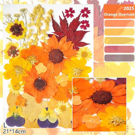 12Types Real Dried Pressed Flowers Sunflowers for Crafts Resin Jewelry Making, Fall Floral Cake Decorations-Orange