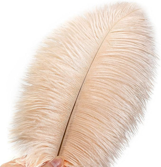 Ballinger Light Salmon Ostrich Feathers - 24pcs 8-10inch Feathers for Crafts,Wedding Party Centerpieces and Home Decor