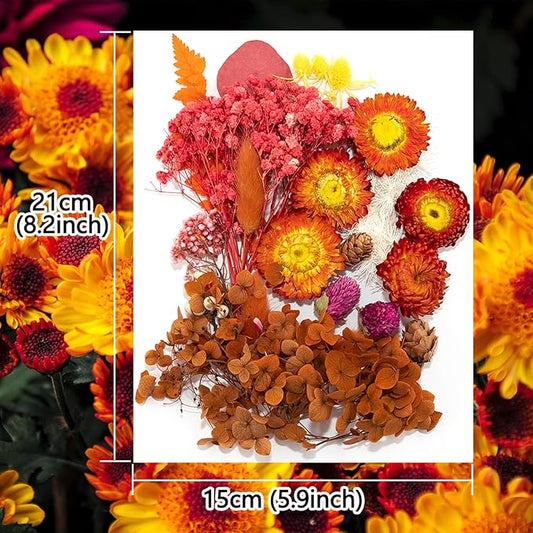 Vignee Real Dried Pressed Leaf Flowers-Multiple Colorful Pressed Flowers Daisies for Craft Resin Jewelry Making Art Craft DIY(Red)
