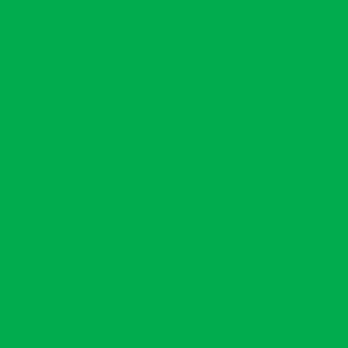 Jillson Roberts 6 Roll Solid Color Gift Wrap, Red,Green,Hunter,Gold,Silver,Lime