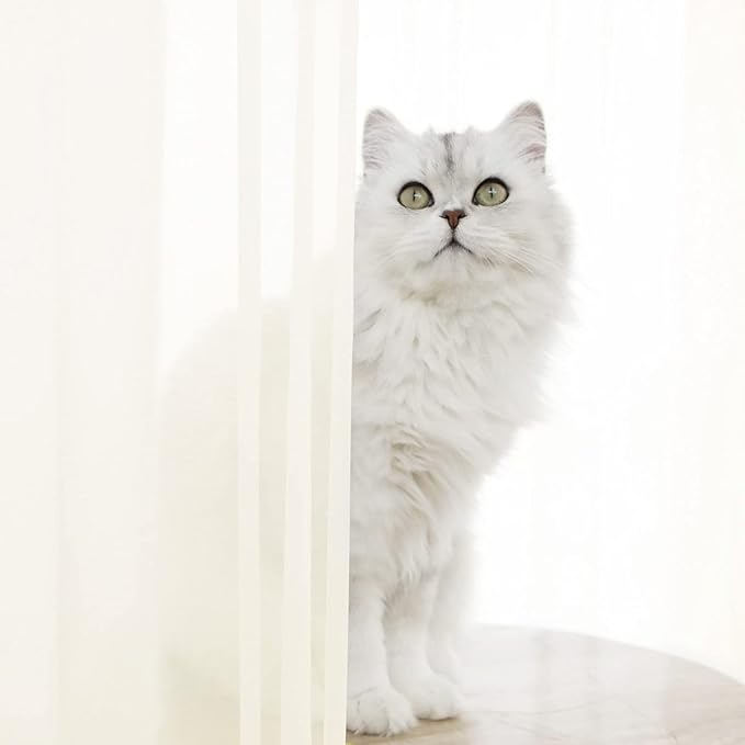 Window Ivory Sheer Curtains 90 Inches Long 2 Panels Sheer Curtain Basic Rod Pocket Panel for Bedroom Children Living Room Yard Kitchen