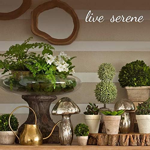 Serene Spaces Living Smoke Grey Optical Glass Votive Holder, Perfect for Weddings and Home Décor, Measures 5" Tall and 3.5" Diameter, Set of 12