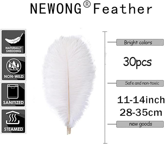 NEWONG 30pcs Mint Green Ostrich Feathers Natural Bulk 11-14inch(28-35cm) Vase Craft Wedding Home Party Centerpieces Christmas Day Decoration