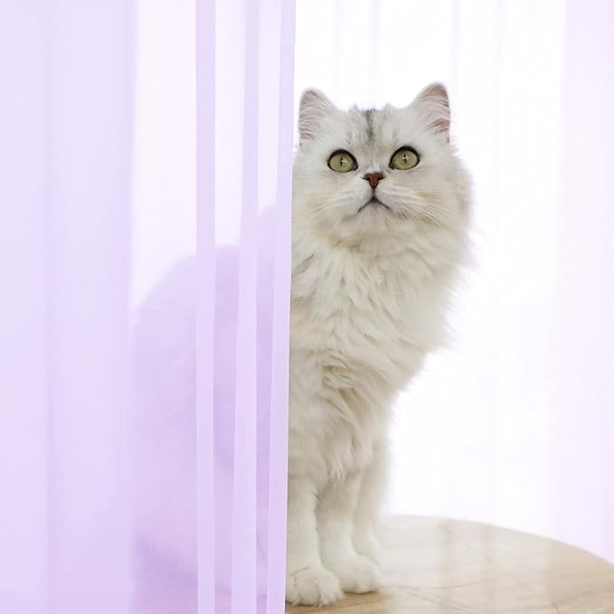 Window Purple Sheer Curtains 48 Inches Width 120 Inches Long 2 Panels Sheer Curtains Clear Curtains Basic Rod Pocket Panel for Home Living Room Bedroom Kids Room Yard Patio Parlor Sliding