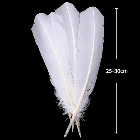 White Turkey Feathers,22 Pcs Natural Feathers Bulk Long 10-12 inch (25-30cm),Turkish Feather for Crafts DIY Wedding Home Party Mardi Gras Decorations (White)