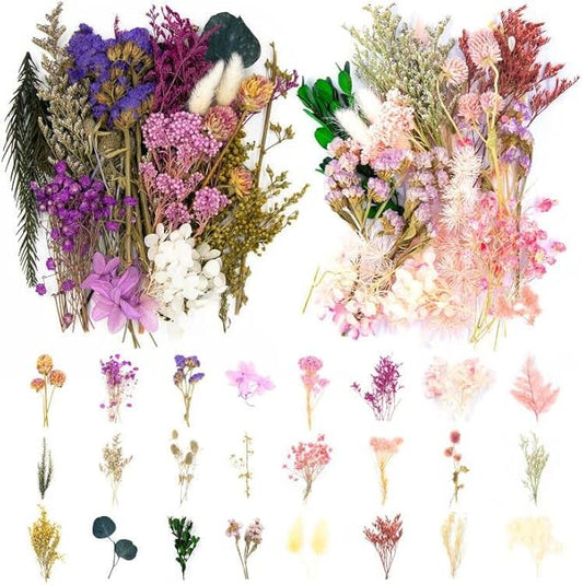 Vignee Real Dried Pressed Leaf Flowers-Multiple Colorful Pressed Flowers Daisies for Craft Resin Jewelry Making Art Craft DIY（Violet&Light Pink）