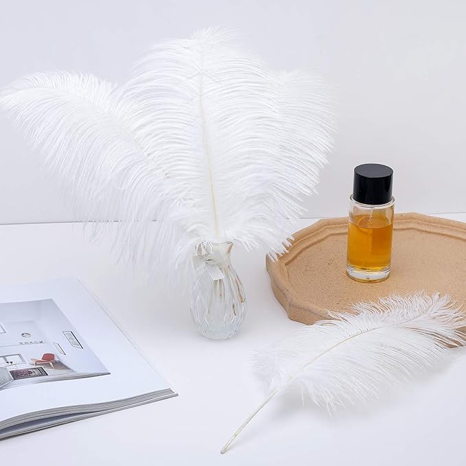 Ballinger Large White Ostrich Feathers - 24Pcs 8-10inch Feathers for Crafts,Party Centerpieces,Wedding and Home Decor