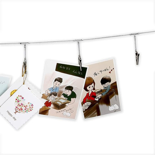 Multi-Purpose Steel Wall Hanging Photo Display Cable Wire Rod String with 12 Clips for Hanging Photos Notes and Artworks (Alligator clip)