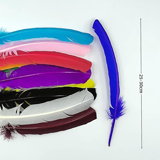 Colorful Turkey Feathers,22 Pcs Natural Feathers Bulk Long 10-12 inch (25-30cm),Turkish Feather for Crafts DIY Wedding Home Party Mardi Gras Decorations (Colorful)