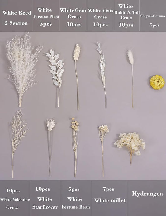 DIY Natural Dried Flower Kit Loose Dried Flowers for vases Off-White Dried Flowers with Stems Preserved Hydrangeas Mini Dried Flower Bouquets (White)