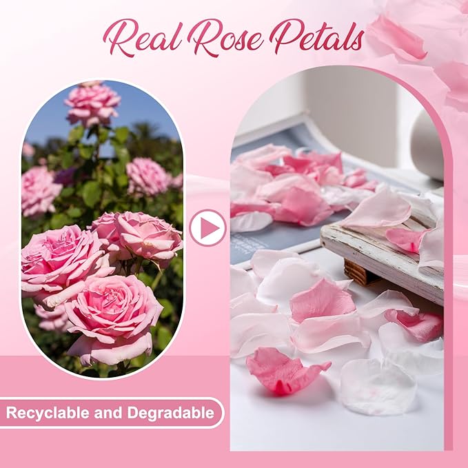 300 PCS Real Pink White Rose Flower Petals Confetti for Wedding Flower Girl to Throw, 2.82oz Freeze Dried Rose Petal for Proposal Centerpieces Romantic Night Decor
