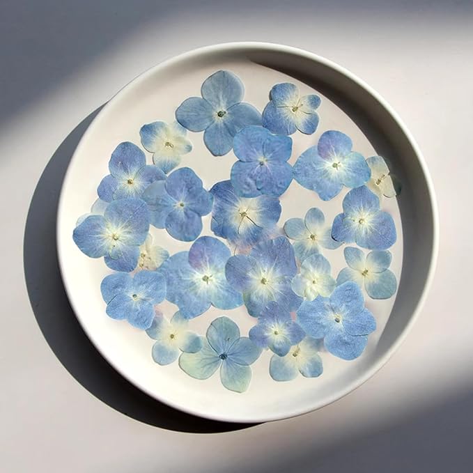 48 Pcs Dried Pressed Flowers for Resin DIY Art Crafts Natural Dry Hydrangea Floral Epoxy Jewelry Real Flower Decor Cakes Phone Cases Candles Handmade Soap Hydrangea