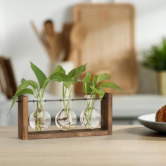 YIBOT Plants Propagation Stations,Plant Terrarium with Wooden Stand Wall Hanging Glass Planter Plant Propagation Vase for Indoor Office Home Garden Decor Plant Lover Gifts for Women