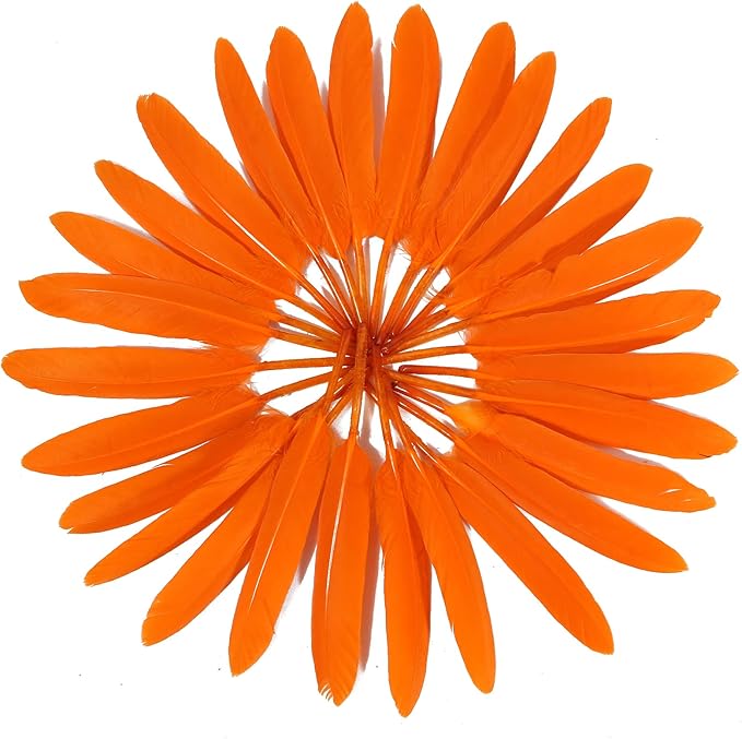 FeelfunFeather 120pcs Orange Goose Cochettes Feather Natural Bulk 4-6 inch 10-15cm for Wedding Party Christmas Halloween Decorations DIY Crafts Goose Cochettes Feather