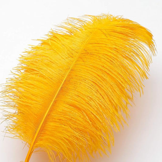 12pcs Natural Luxury Gold Ostrich Feathers 12-14inch (30-35cm) for Wedding Party Centerpieces，Flower Arrangement and Home Decoration.