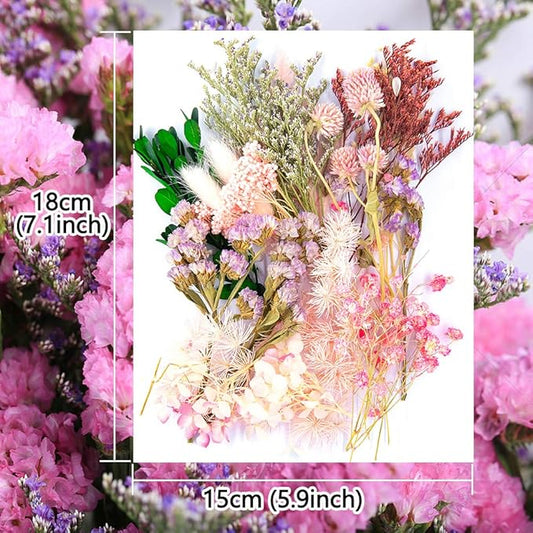 Vignee Real Dried Pressed Leaf Flowers-Multiple Colorful Pressed Flowers Daisies for Craft Resin Jewelry Making Art Craft DIY and Soap Candle Scrapbooking DIY Resin（Light Pink）