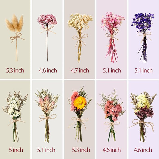 10/12/24/36 Pack Mini Dried Flowers for Vase Wedding Various Mini Bouquet Dried Small Wildflowers Natural Flowers Bulk for Crafts DIY Decor (10, Classic Color2)