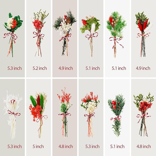 10/12/24/36 Pack Mini Dried Flowers for Vase Wedding Various Mini Bouquet Dried Small Wildflowers Natural Flowers Bulk for Crafts DIY Decor (12, Christmas Color)