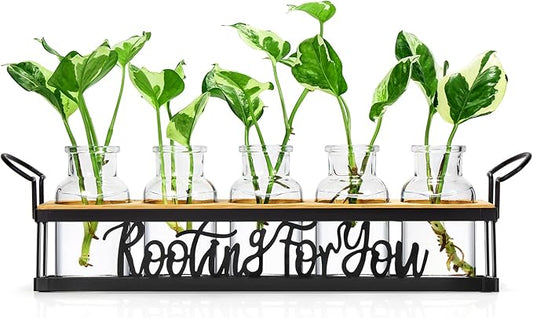 THYGIFTREE Plant Propagation Stations, Mothers Day Plant Lover Gifts for Mom Women Rooting for You Propagate Jars for Hydroponic Cuttings Propagating Vase