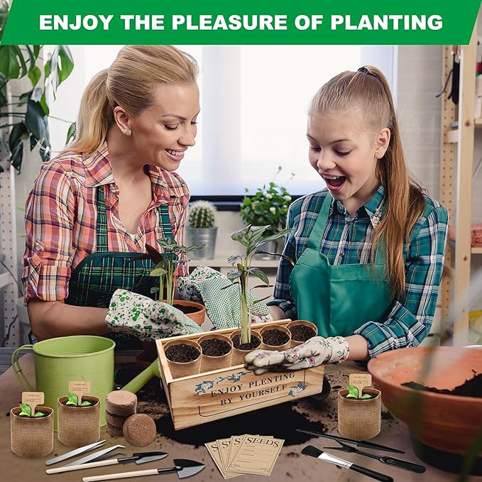 Bonsai Tree Starter Kit, Indoor Bonsai Tree Kit Meeting Planting and Caring Needs Curated Design for A Complete Gardening Experience for Enthusiasts