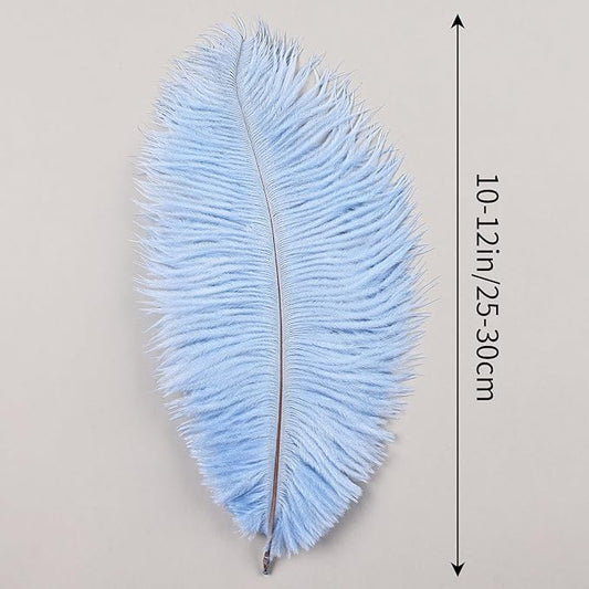 THARAHT Light Purple Ostrich Feathers 12pcs Natural Bulk 10-12Inch 25cm-30cm for Crafts Wedding Party Centerpieces Easter Gatsbi and Home Decoration Feathers