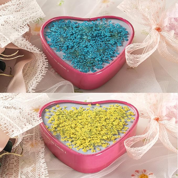 60 Pcs Dried Pressed Flowers for Resin DIY Art Crafts Natural Dry Floral Epoxy Jewelry Real Lace Flower Decor Cakes Phone Cases Candles Handmade Soap Mix Lace Flower