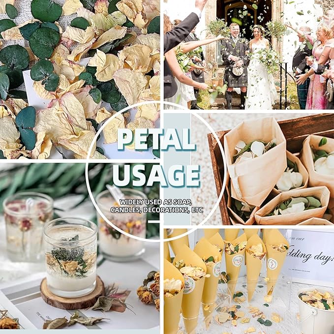 Oning 20+ Cups of Mix Dried Bio Flower Rose Petals Confetti, 2 QT Ivory White Roses & Eucalyptus Leaves, Real Petals for Wedding Parties Romantic Gifts