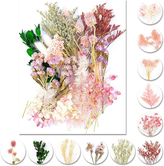 Vignee Real Dried Pressed Leaf Flowers-Multiple Colorful Pressed Flowers Daisies for Craft Resin Jewelry Making Art Craft DIY and Soap Candle Scrapbooking DIY Resin（Light Pink）