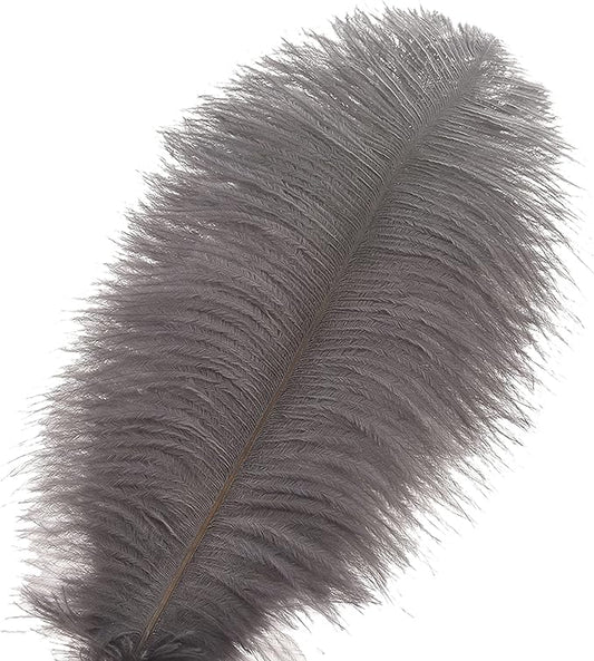 Ballinger Natural Gray Ostrich Feathers - 24pcs 8-10inch for Wedding Party Centerpieces Home Decor