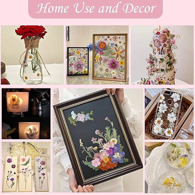 80 Pcs Dried Pressed Flowers for Crafts, Real Natural Dried Pressed Flowers in Vibrant Multicolor Tones for Resin, DIY Art, Jewelry, Candle & Soap Making – Tweezers Included